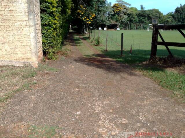 Venda em Centro - Arapongas